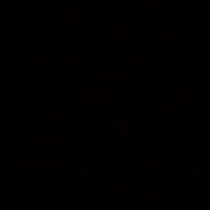 Meet your Posher, Dinya